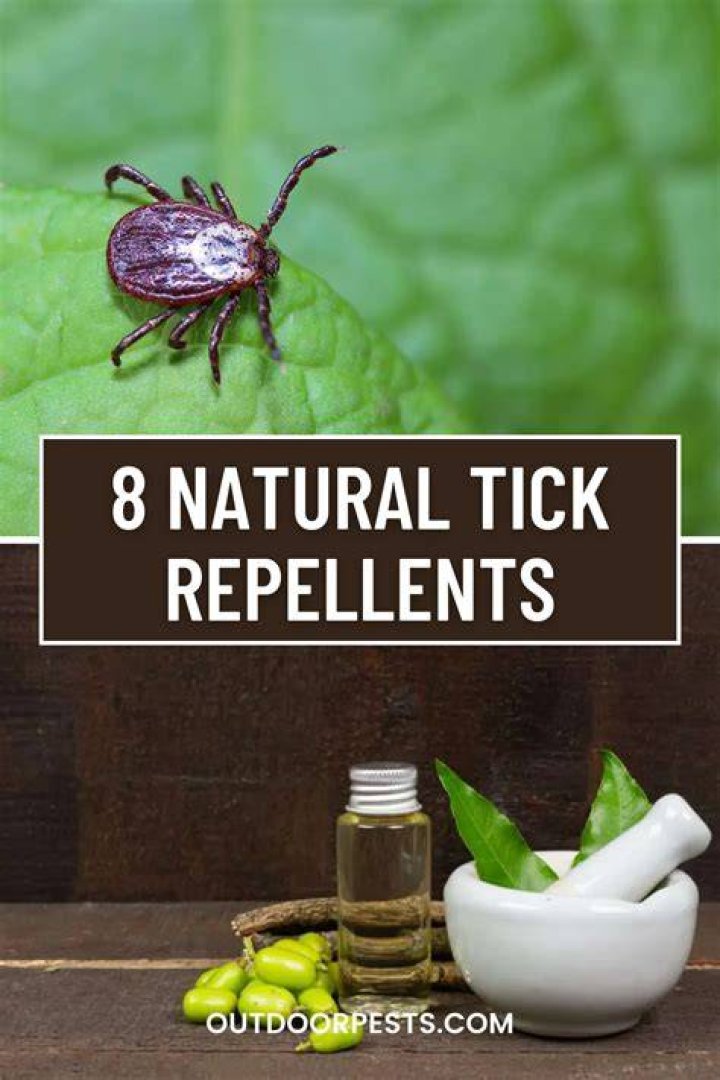 What is a natural tick repellent for the yard?