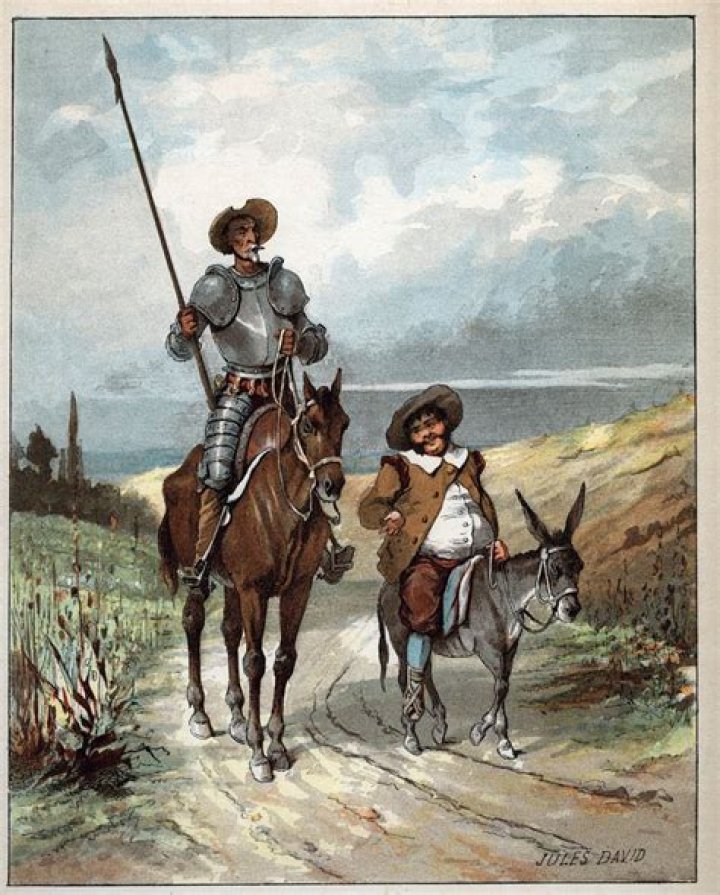 What is a quixotic person?