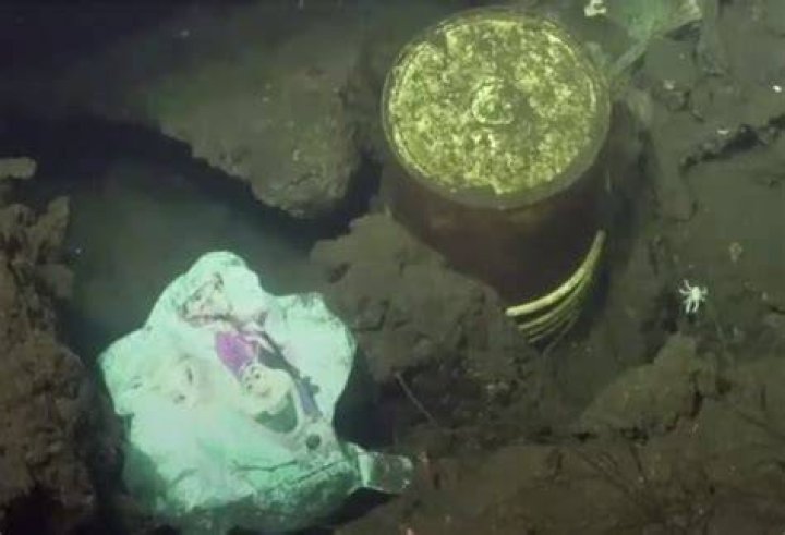 What is at the bottom of the Mariana Trench?