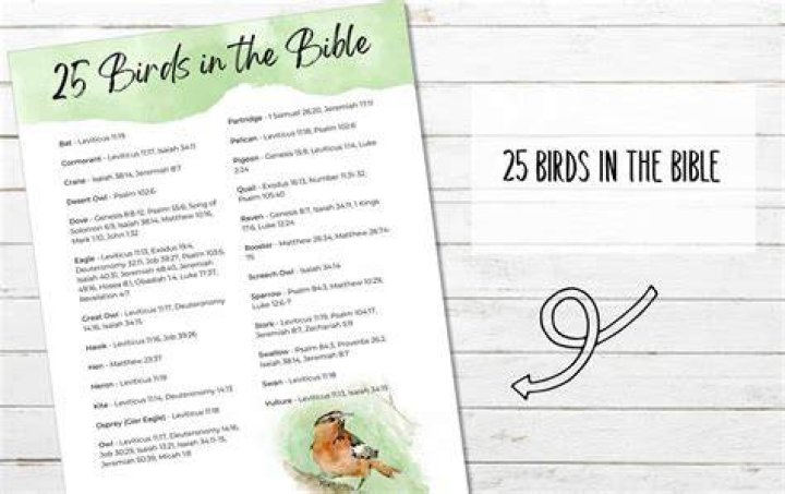 What is birds in the Bible?
