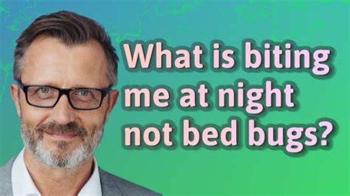 What is biting me in my bed that I can't see?