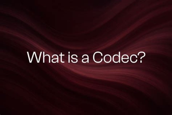 What is Cccxlii?