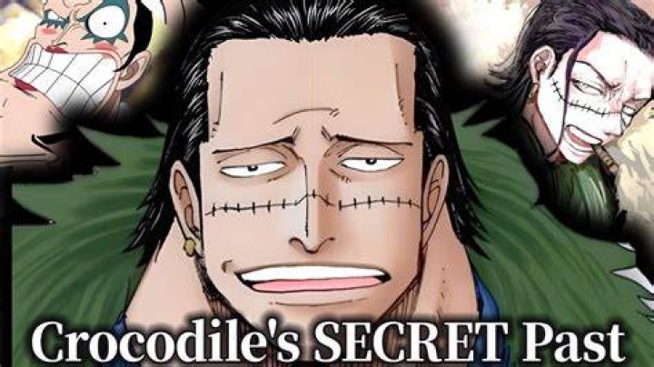 What is Crocodile's secret past?