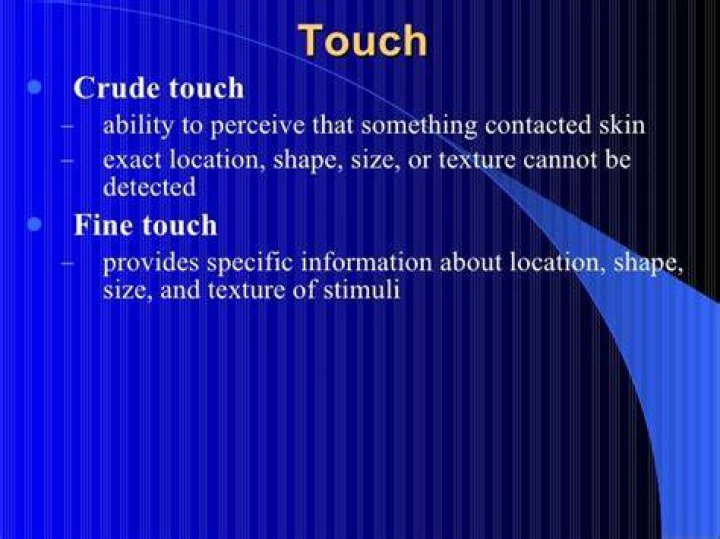 What is crude touch?