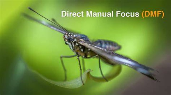 What is direct manual focus?