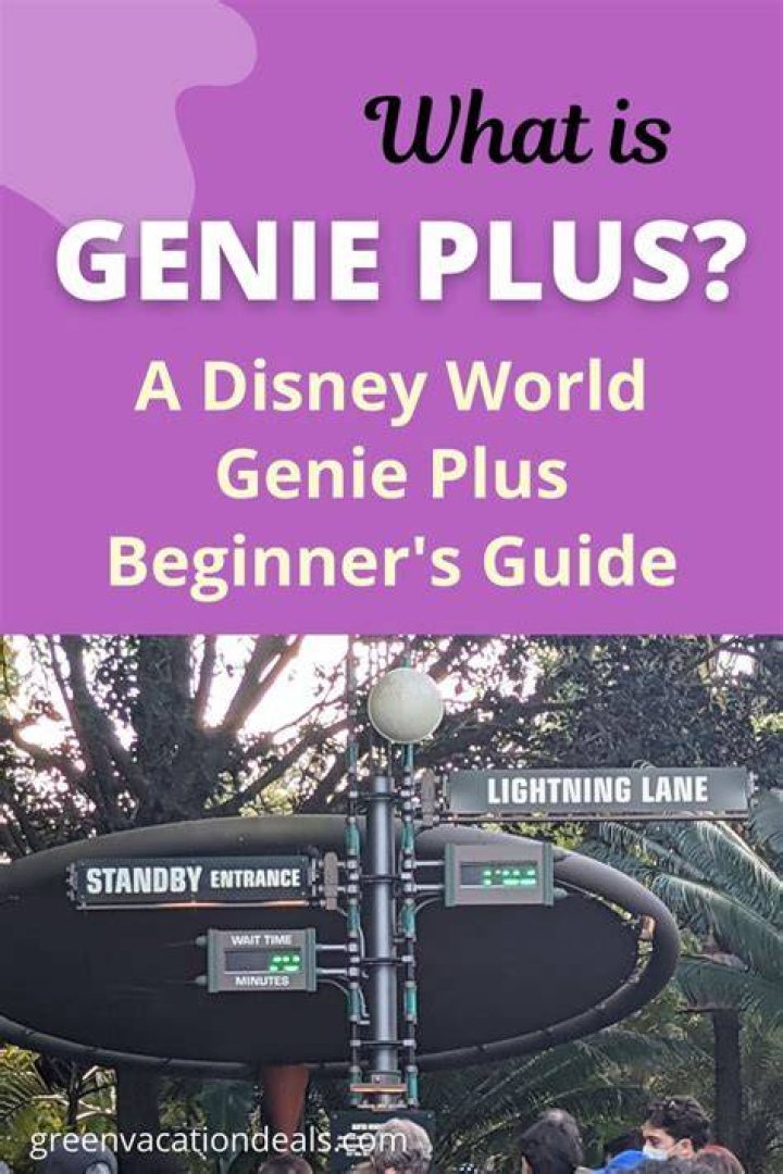 What is genie plus?