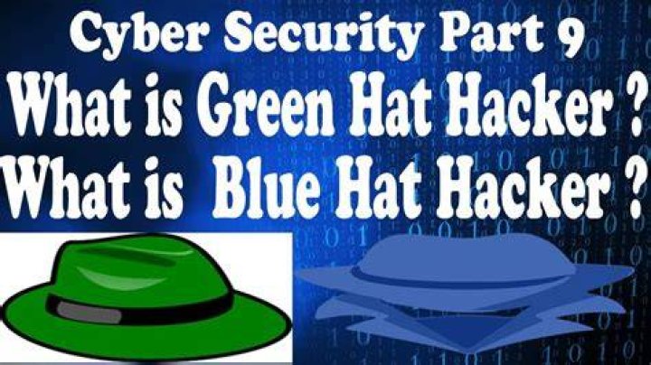 What is green hat hacker?