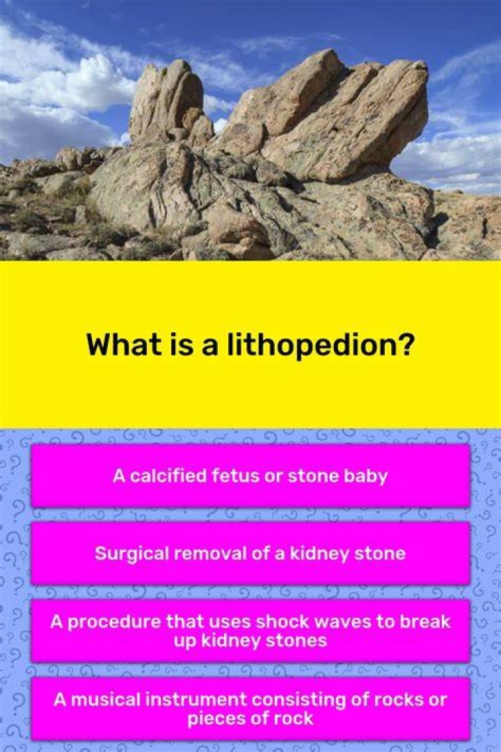 What is Lithopedia?