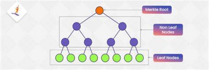 What is Merkle tree in blockchain?