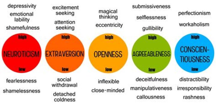 What is neuroticism and conscientiousness?