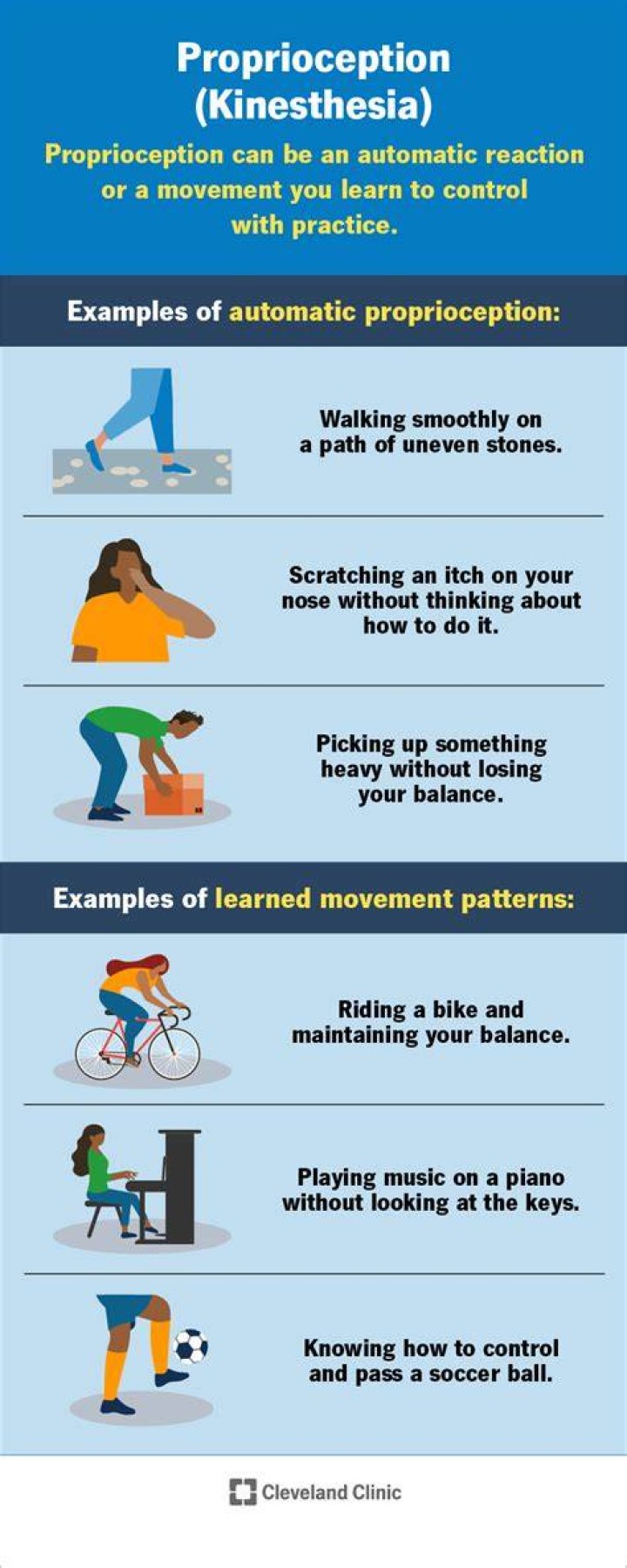 What is proprioception in simple terms?