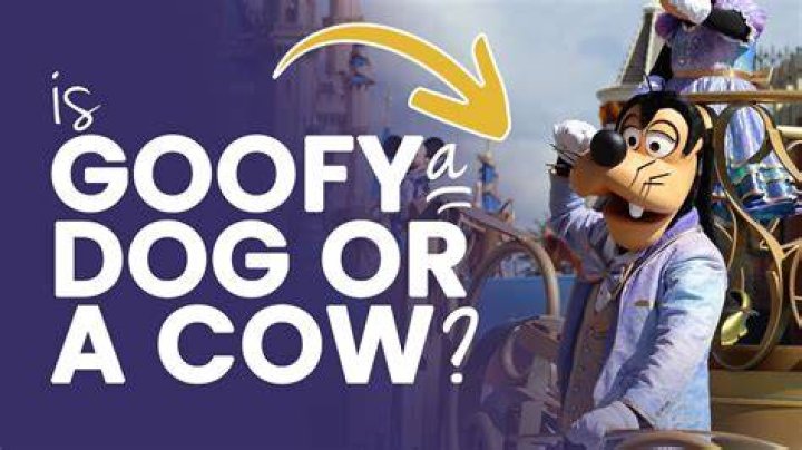 What is smarter a cow or a dog?