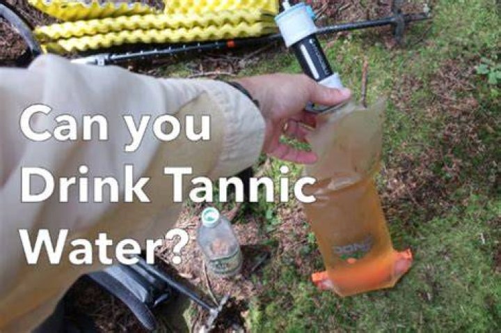 What is tannic water?