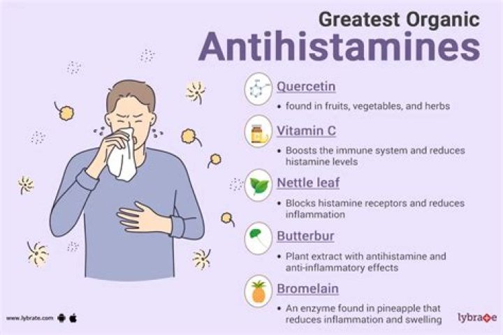 What is the best antihistamine for a rash?