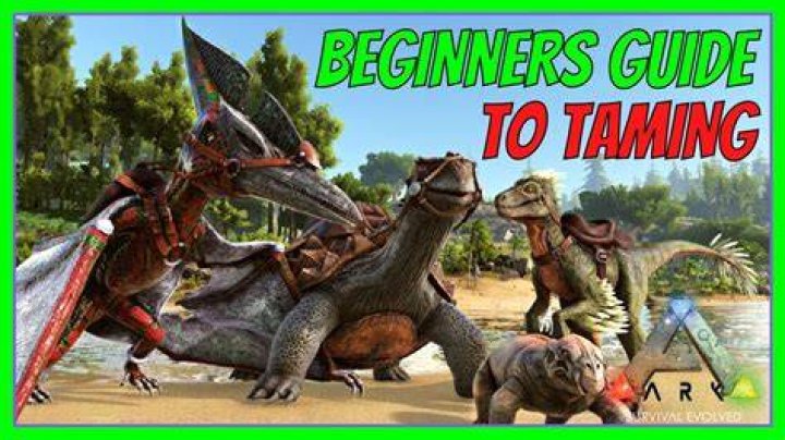 What is the best thing to tame in Ark?