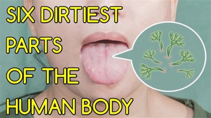 What is the dirtiest body part?