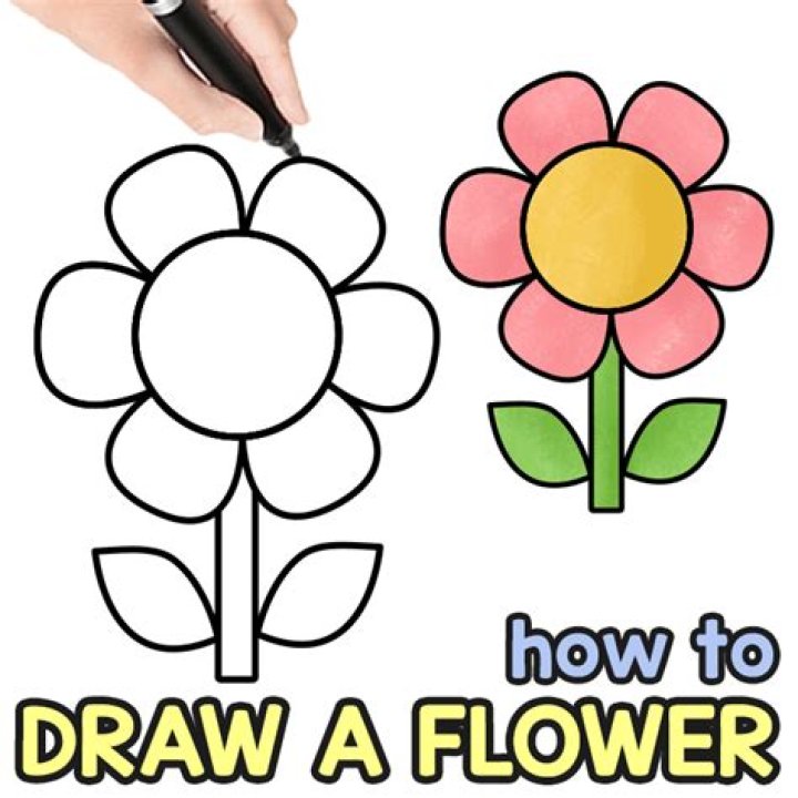 What is the easiest flower to draw?
