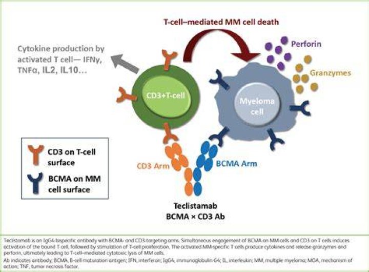 What is the effect of Actemra on patients with COVID-19?