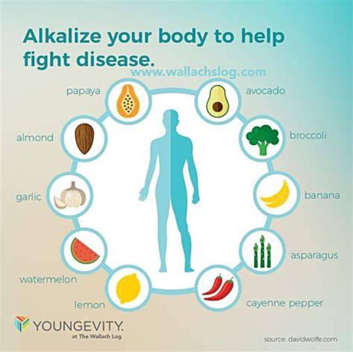What is the fastest way to alkalize your body?