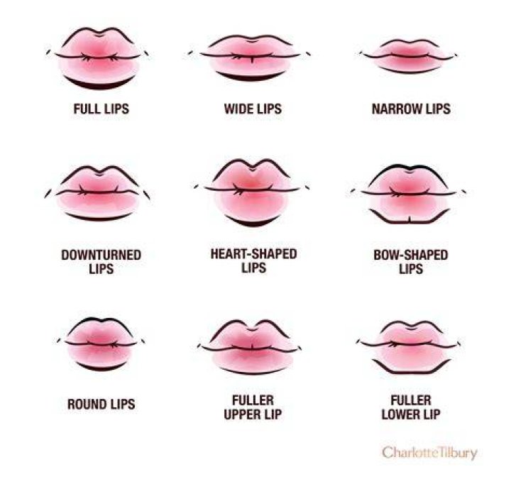 What is the line around your lips called?