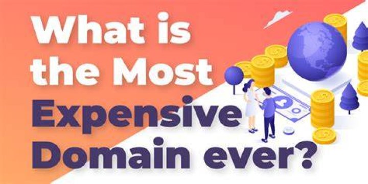 What is the most expensive domain?