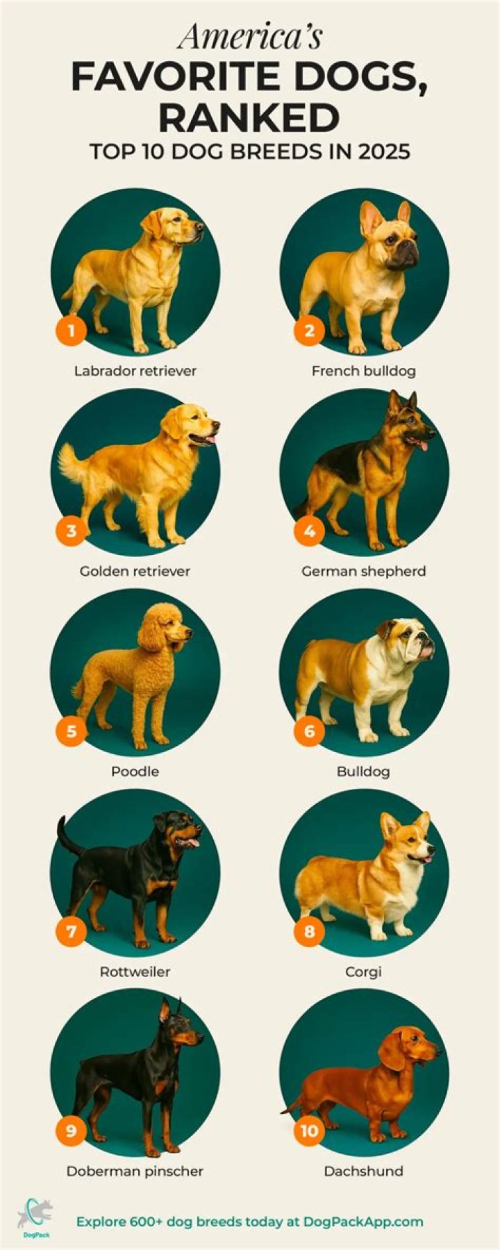 What is the most popular dog name in 2021?