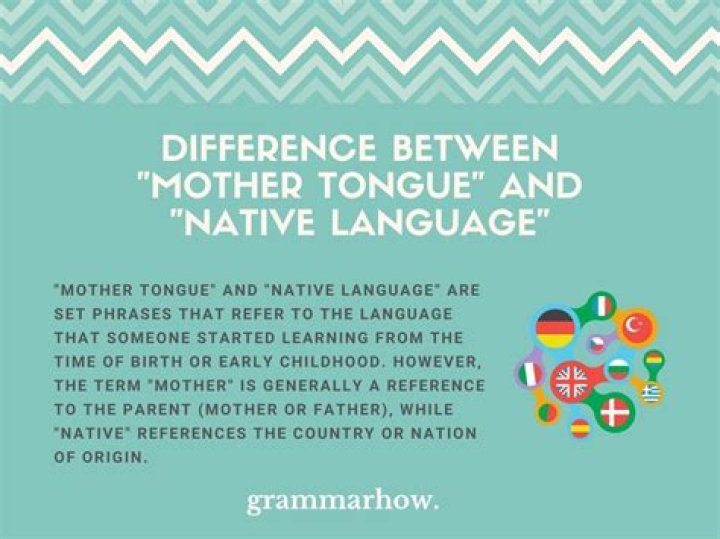 What is the mother tongue of Nagaland?