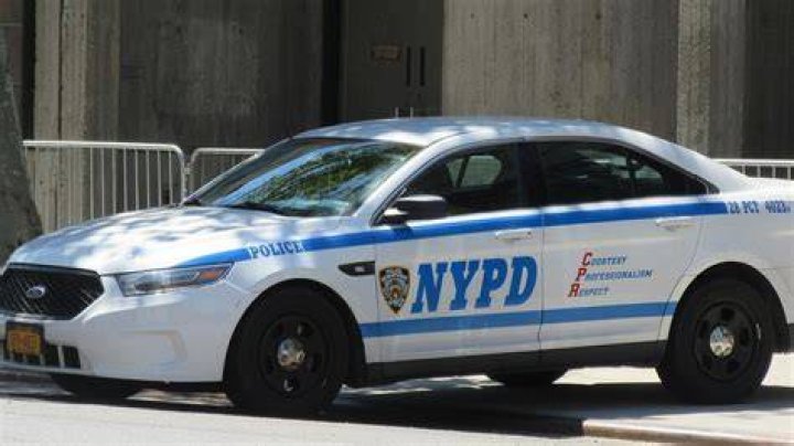 What is the number one police dog?