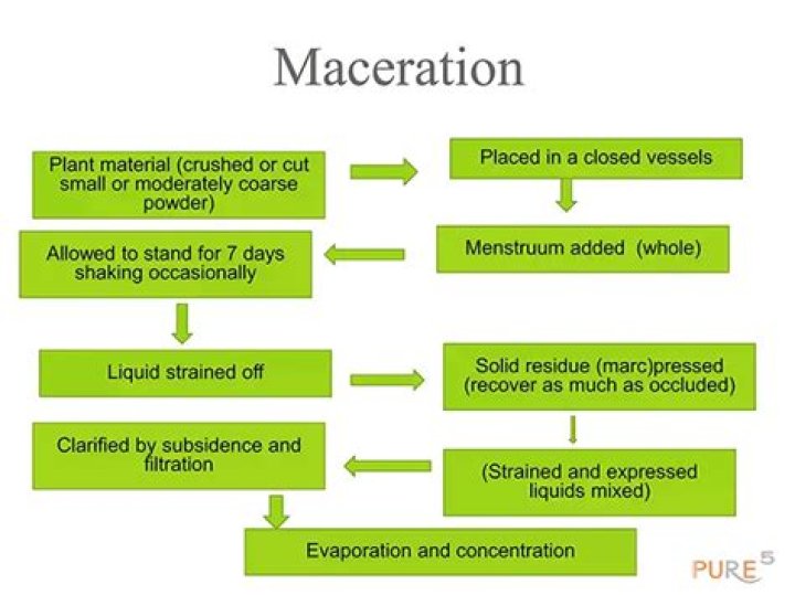 What is the process of maceration?
