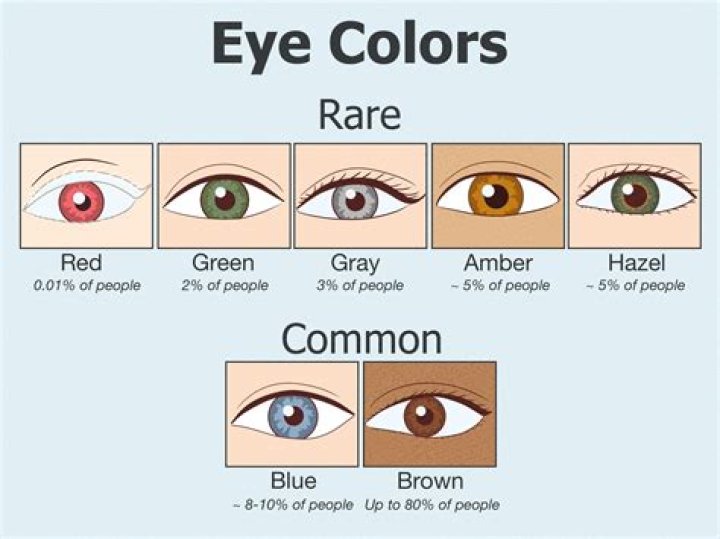 What is the rarest type of eyes?