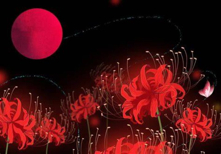 What is the red flower in demon slayer?