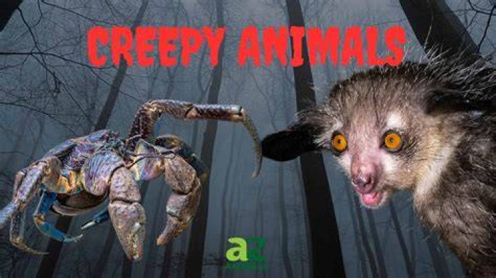 What is the scariest name ever?
