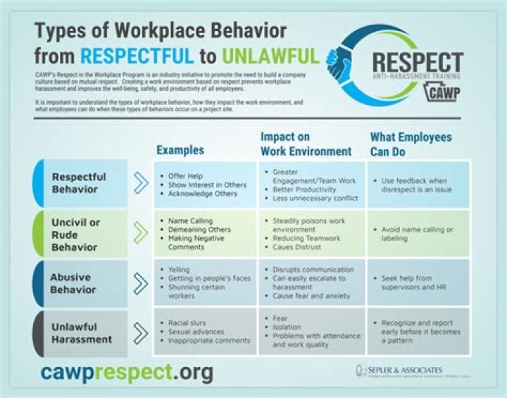 What is unprofessional disrespectful behaviour?