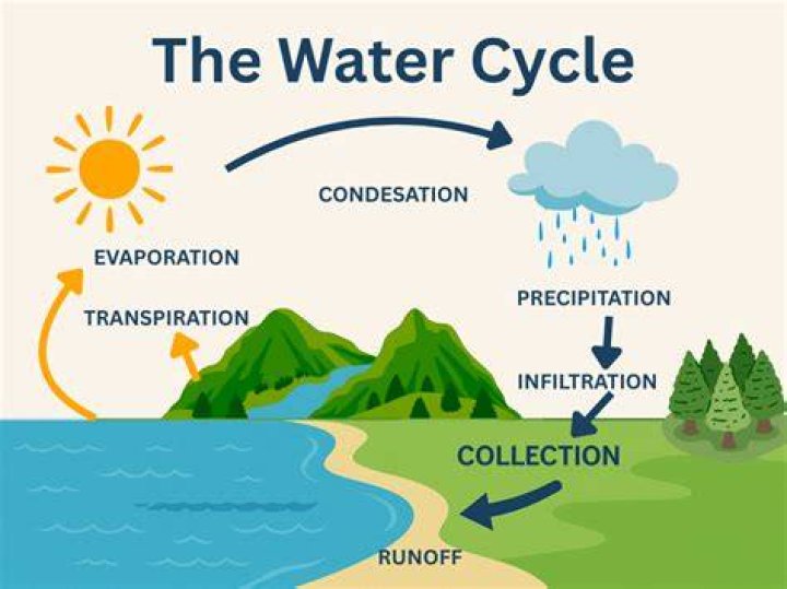 What is water cycle BYJU's?