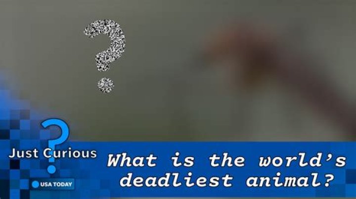 What kills a Tribrid?
