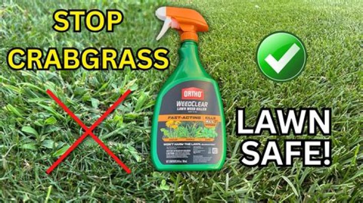 What kills crabgrass naturally?
