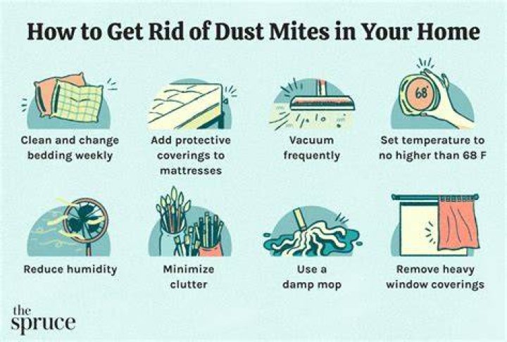 What kills house dust mites?