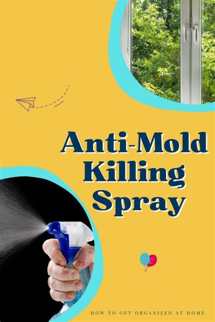 What kills mold on window sills?