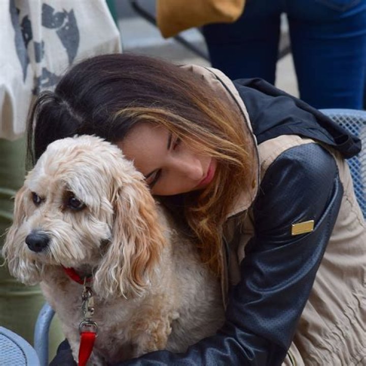What kind of dog attracts girls?