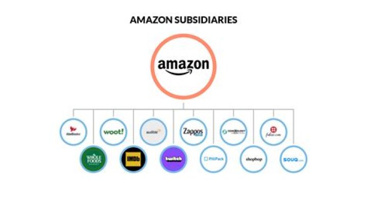 What other companies does Amazon own?