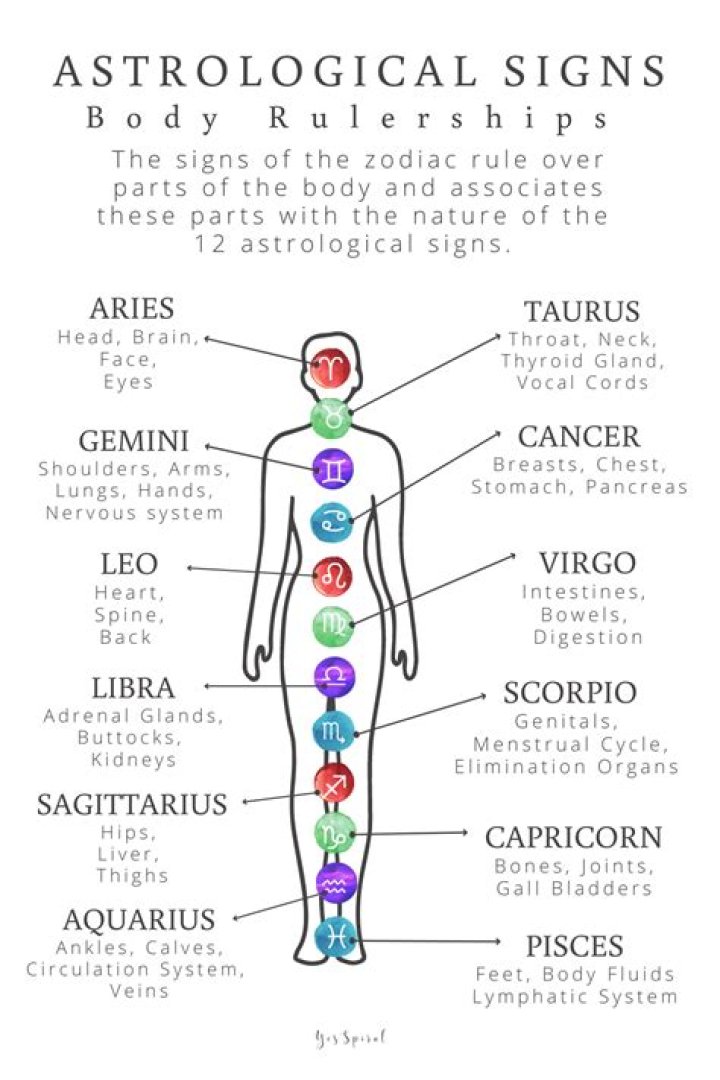 What part of the body does Leo rule?