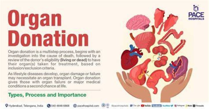 What religion does not donate organs?