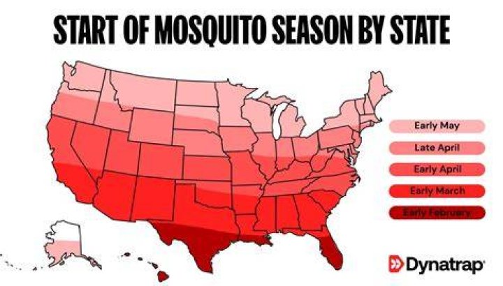 What season are roaches most active?