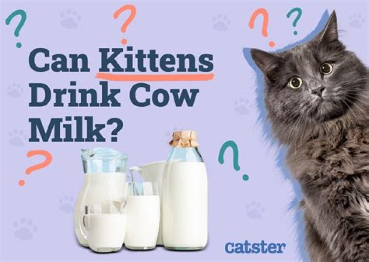 What tastes most like cow's milk?