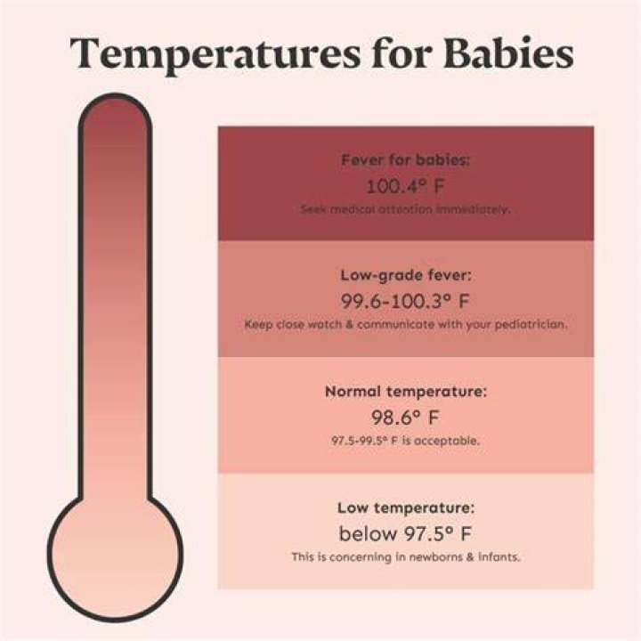 What temperature should a warehouse be?