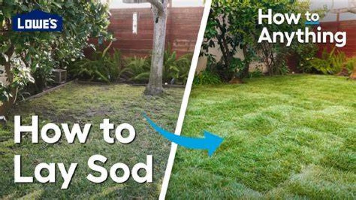 What to do after sod is laid?
