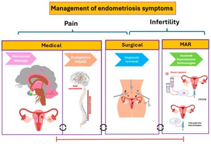 What triggers endometriosis pain?