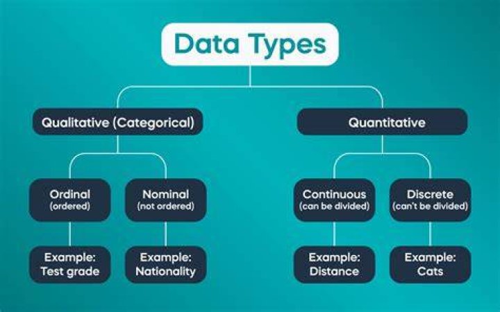 What type of data is quantitative?