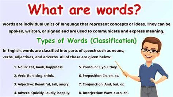 What type of word is paraphernalia?