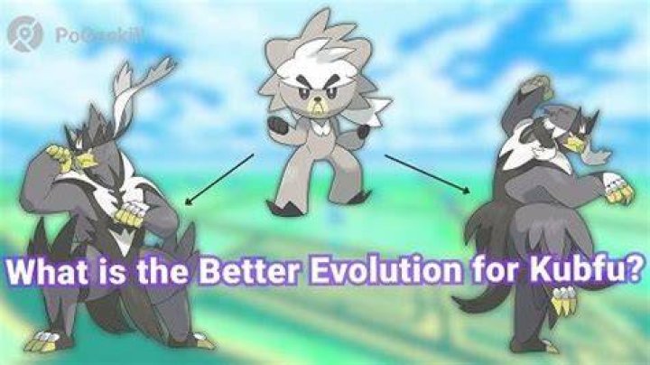 What version of Kubfu is better?